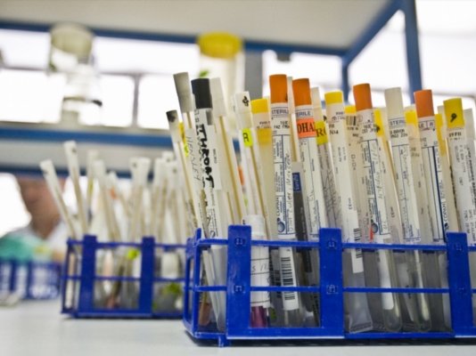 0000094964.jpg