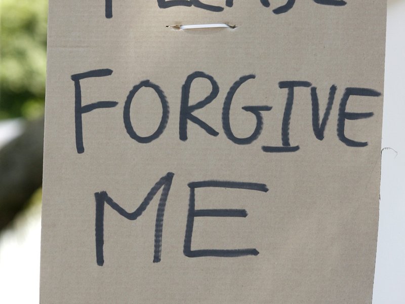 Please forgive me apology_gallo