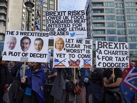 Brexit protest