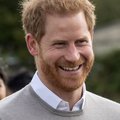 Prince Harry de-mining