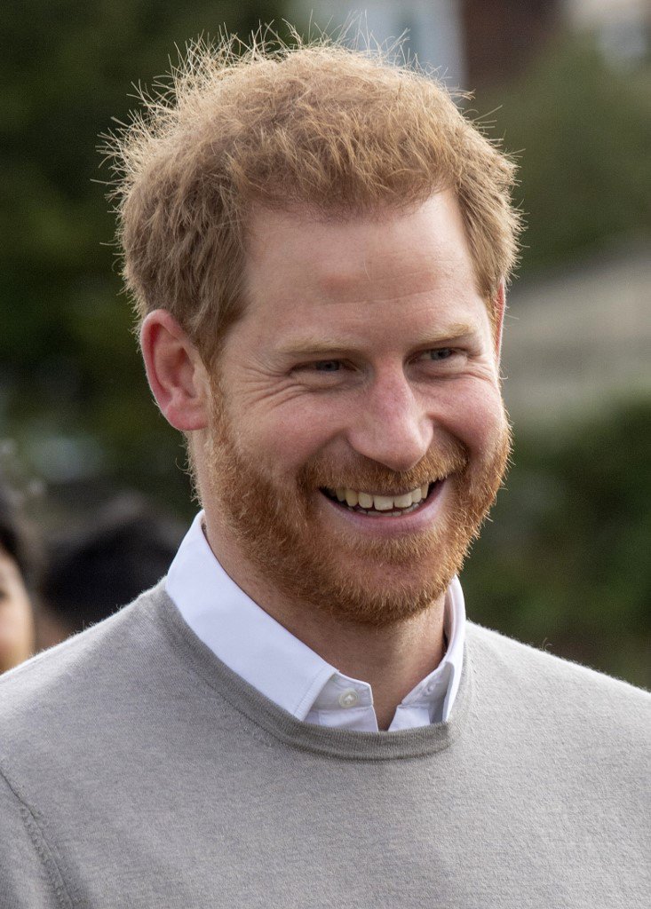 Prince Harry de-mining