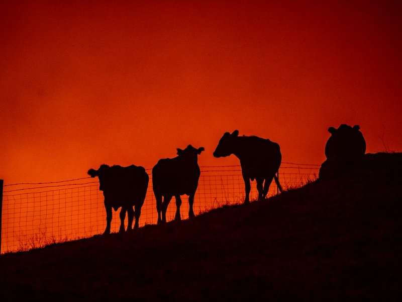 California's Sonoma County