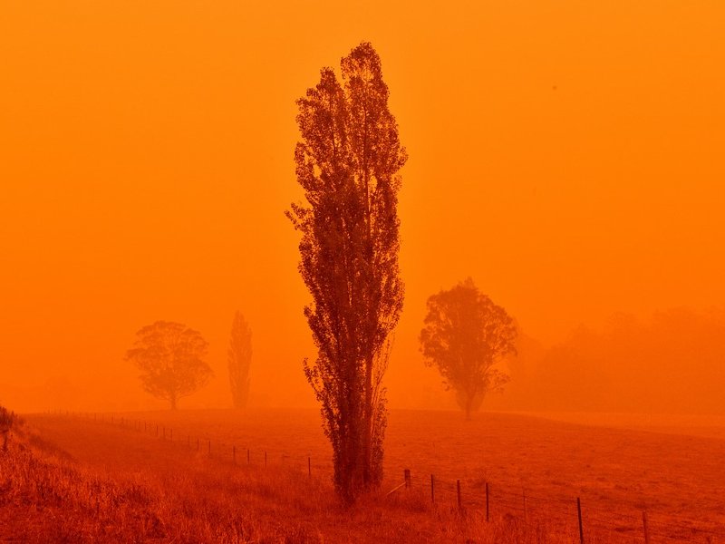 The sky turns red from bushfires in Bemboka, in Australia's New South Wales state