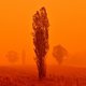 The sky turns red from bushfires in Bemboka, in Australia's New South Wales state