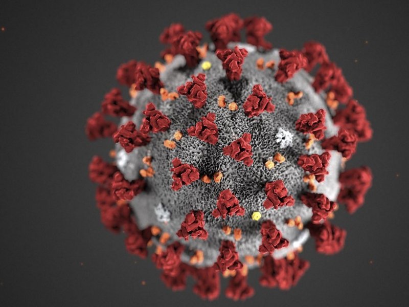 Coronavirus generic image