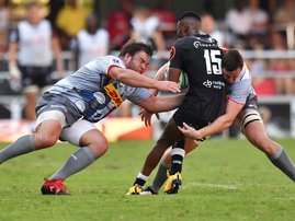 Frans Malherbe Stormers  - AFP