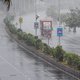 A truck drives on a road under heavy rain in Mumbai on June 3, 2020, as cyclone Nisarga barrels towards India's western coast. Mumbai authorities shut offices, banned small gatherings and told people to stay home on June 3 as the Indian megacity's first c