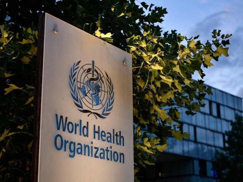 World Health Organization Logo