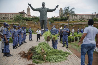 Khoisan ‘king’ released on warning for growing dagga at Union Buildings