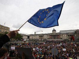 Brexit protest