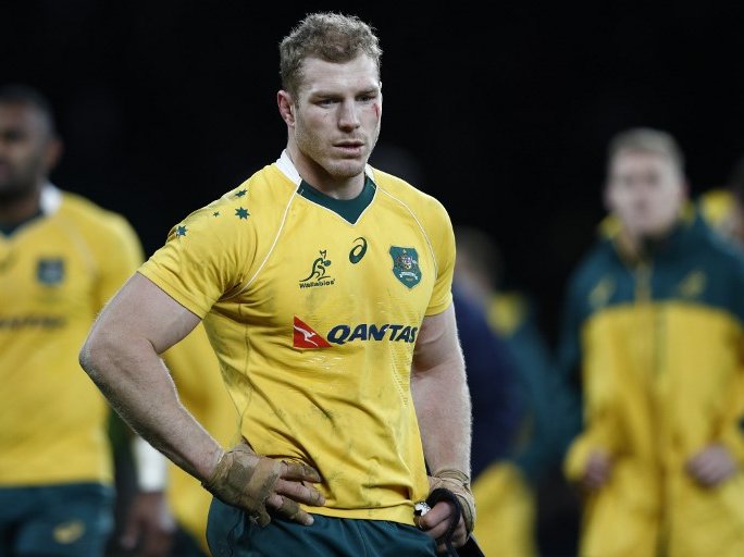 David Pocock Wallabies