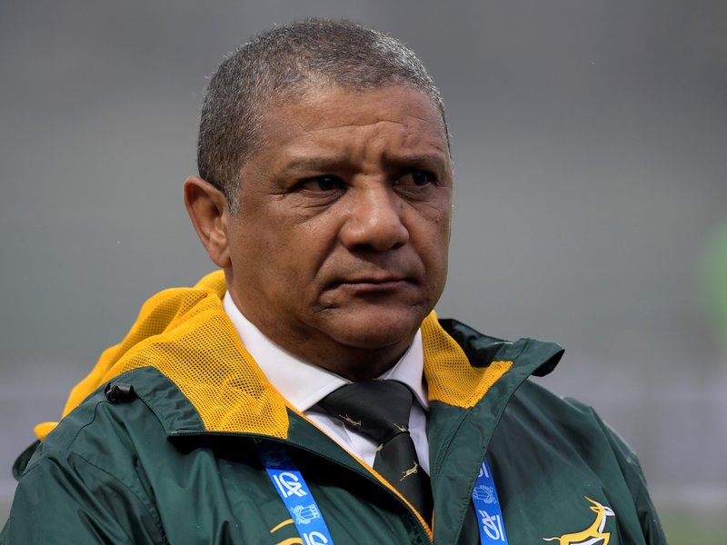Springbok coach, Allister Coetzee