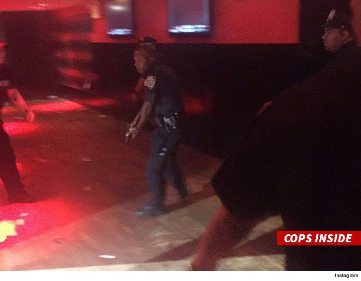 Cops at the concert