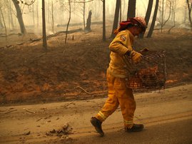 California Fires