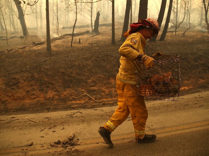 California Fires