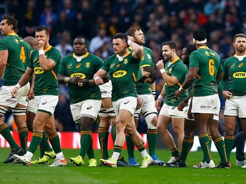 Springboks