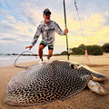 Dean Pretorius with a magnificent Honeycomb Ray caught down south coast