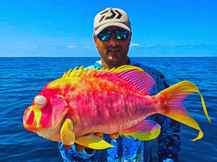 Dean Reddy with a magnificent rare catch on the North Coast with a Tiger Rockcod