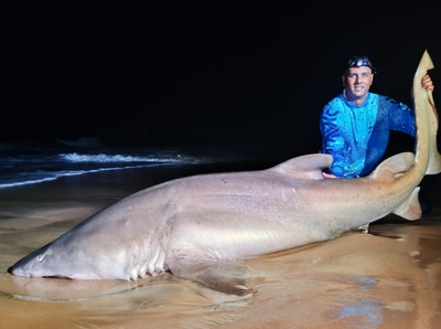 Planning beats luck on the KZN coast