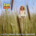Taylor Swift i knew it