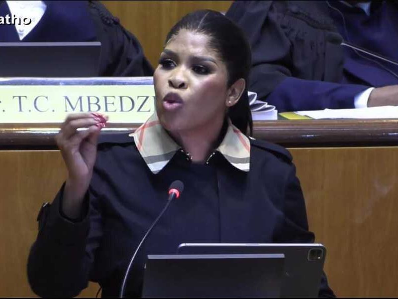 MEC Viola Motsumi at North West Legislature on