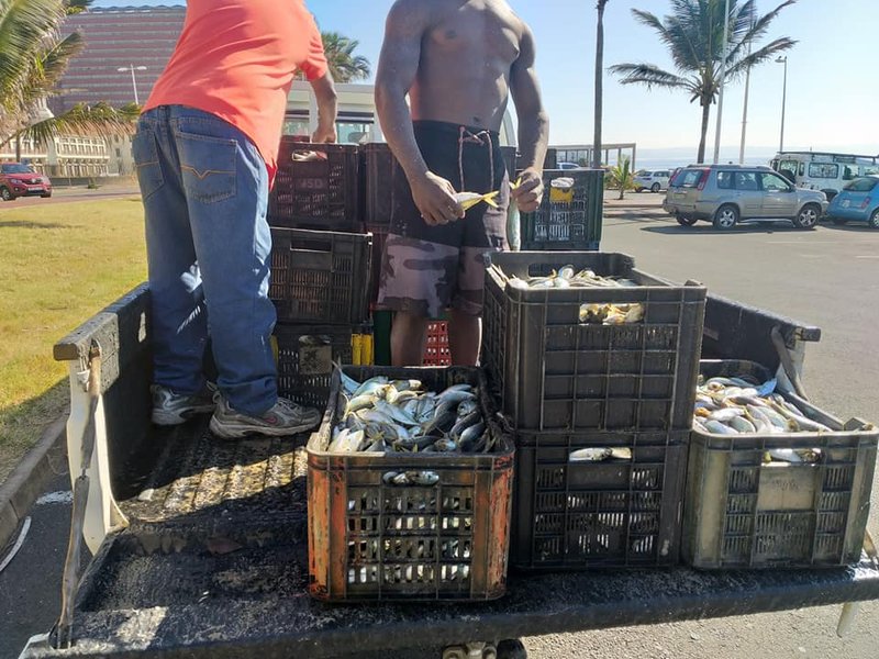 Durban's Addington Beach