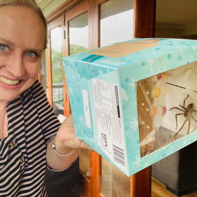 Woman finds scary uninvited houseguest in gingerbread house - Vimarsana News