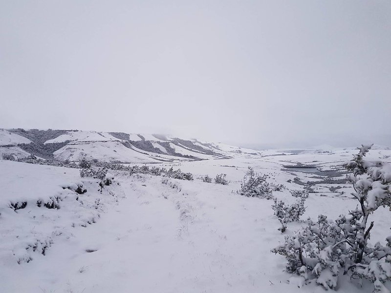 snow3