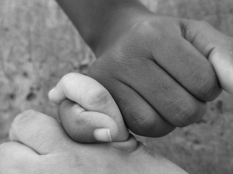 Big Favour Adoption