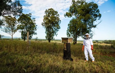 Feel Good Tuesday: Meet South Africa's 'Queen Bee' in the honey industry! - Vimarsana News