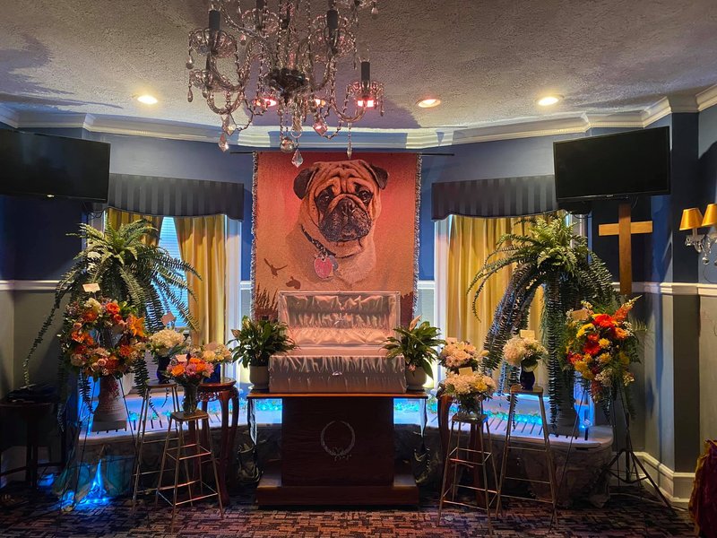 Pug funeral