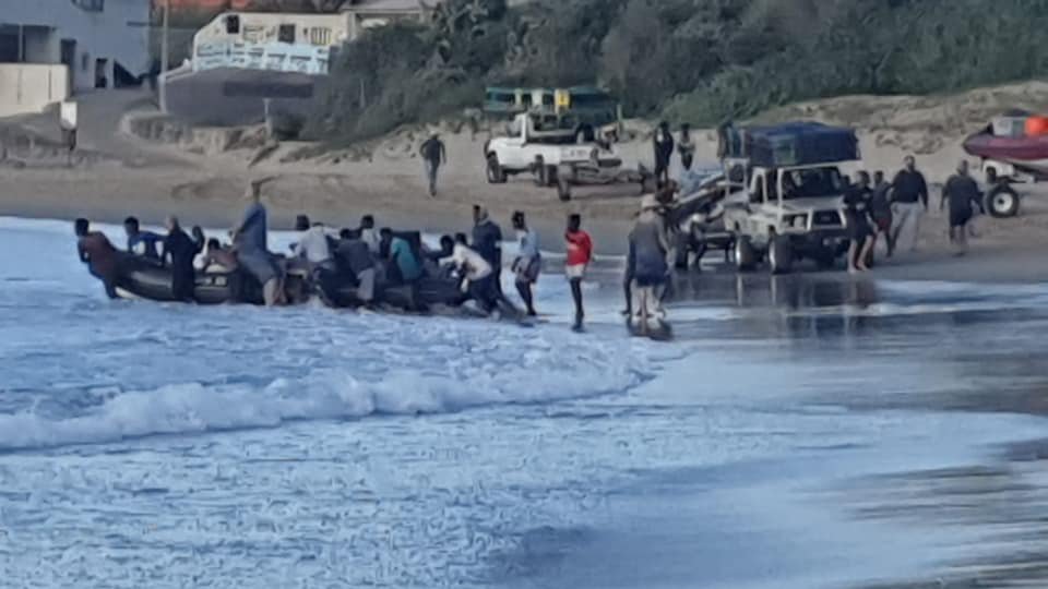 Waves of excitement as sardines finally arrive in KZN  2