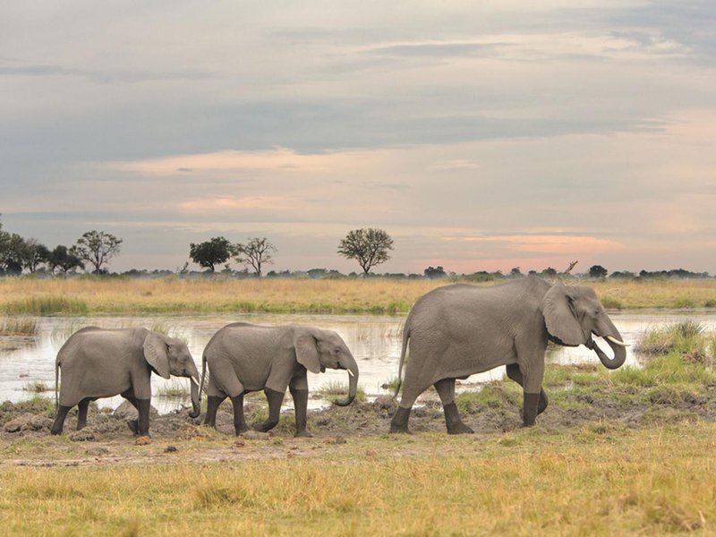 1Botswana-2.jpg
