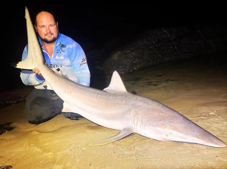 Ivan Kotze with an impressive 140cm Spinner shark caught down the south coast