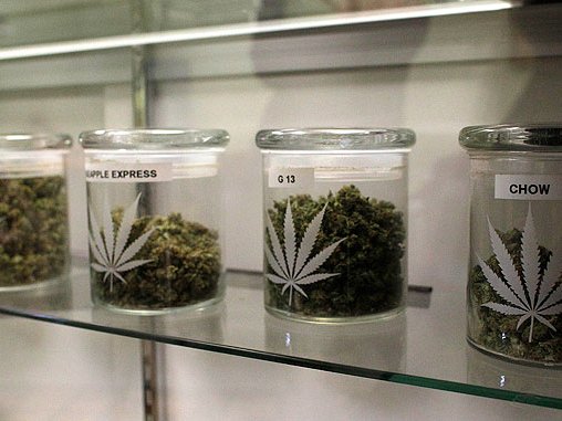 20121210_medical-marijuana_33.jpg