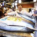 'Tuna King' pays record $3.2 mn for bluefin at Tokyo auction