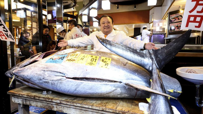 'Tuna King' pays record $3.2 mn for bluefin at Tokyo auction