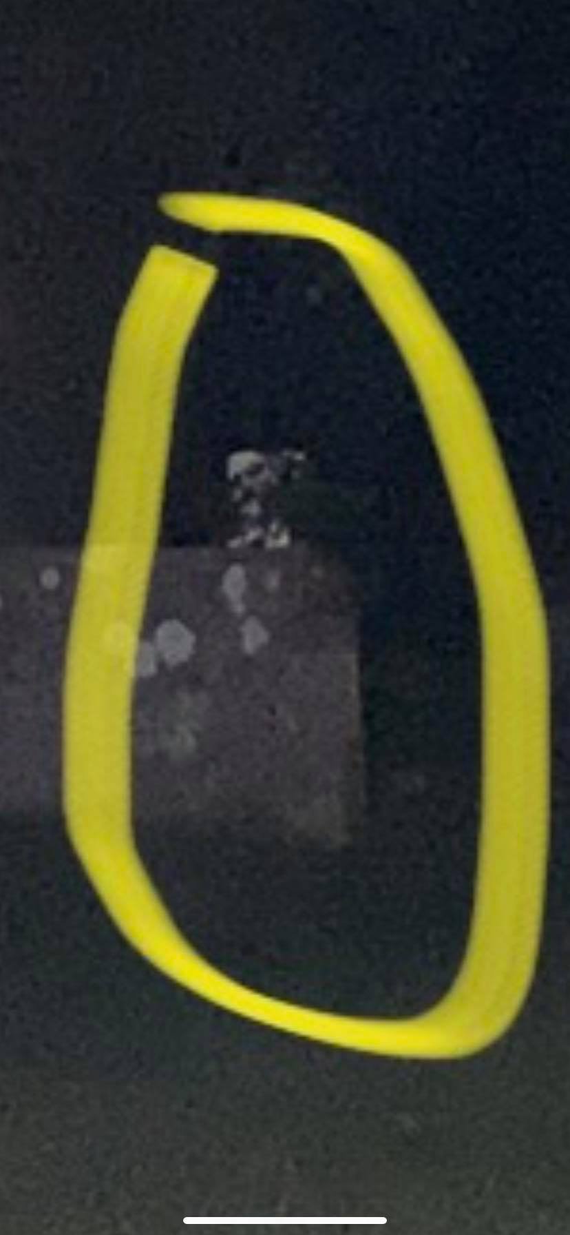 Couple spot ghost/spirit in pictures at graveyard