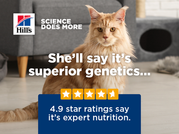 2615 HPN Feline Radio Digital Campaign_Generic Web Banner_667x500