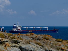 Ukraine grain ship