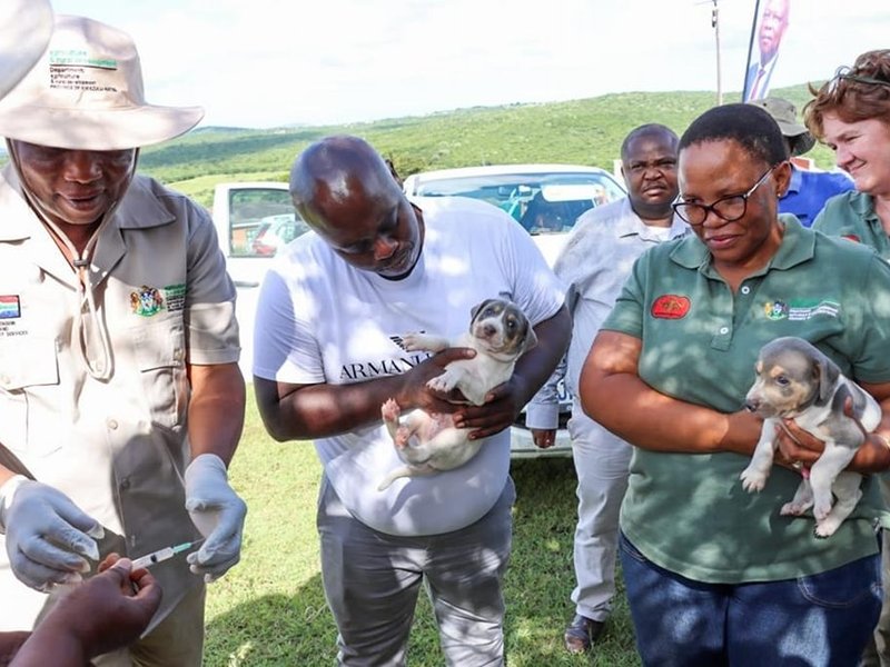 KZN residents urged to vaccinate pets against rabies