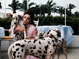 Gina Lollobrigida