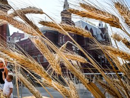 Black sea grain deal Russia