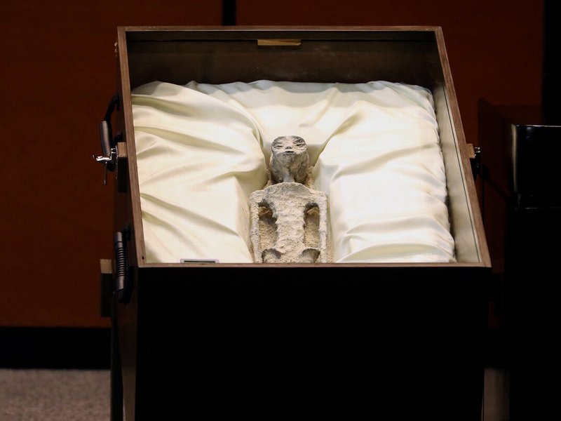 The alleged bodies of two "non-human" beings were presented during a congressional hearing in Mexico