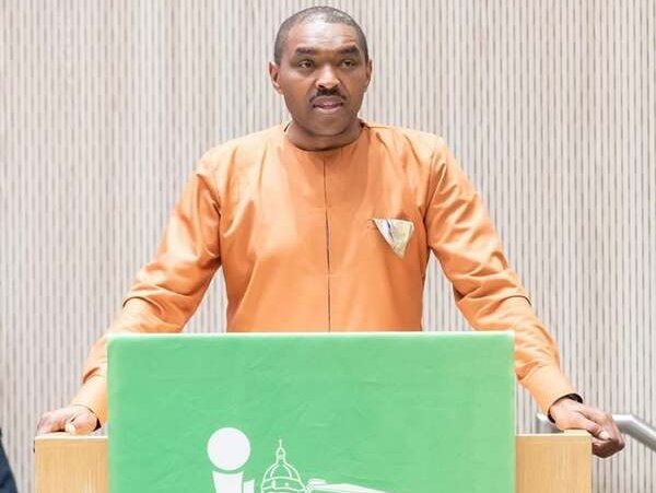 Tshwane Council Speaker Mncedi Ndzwanana