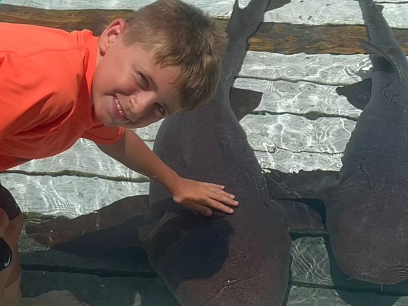 WATCH: Young boy attacked by three sharks in freak accident on holiday