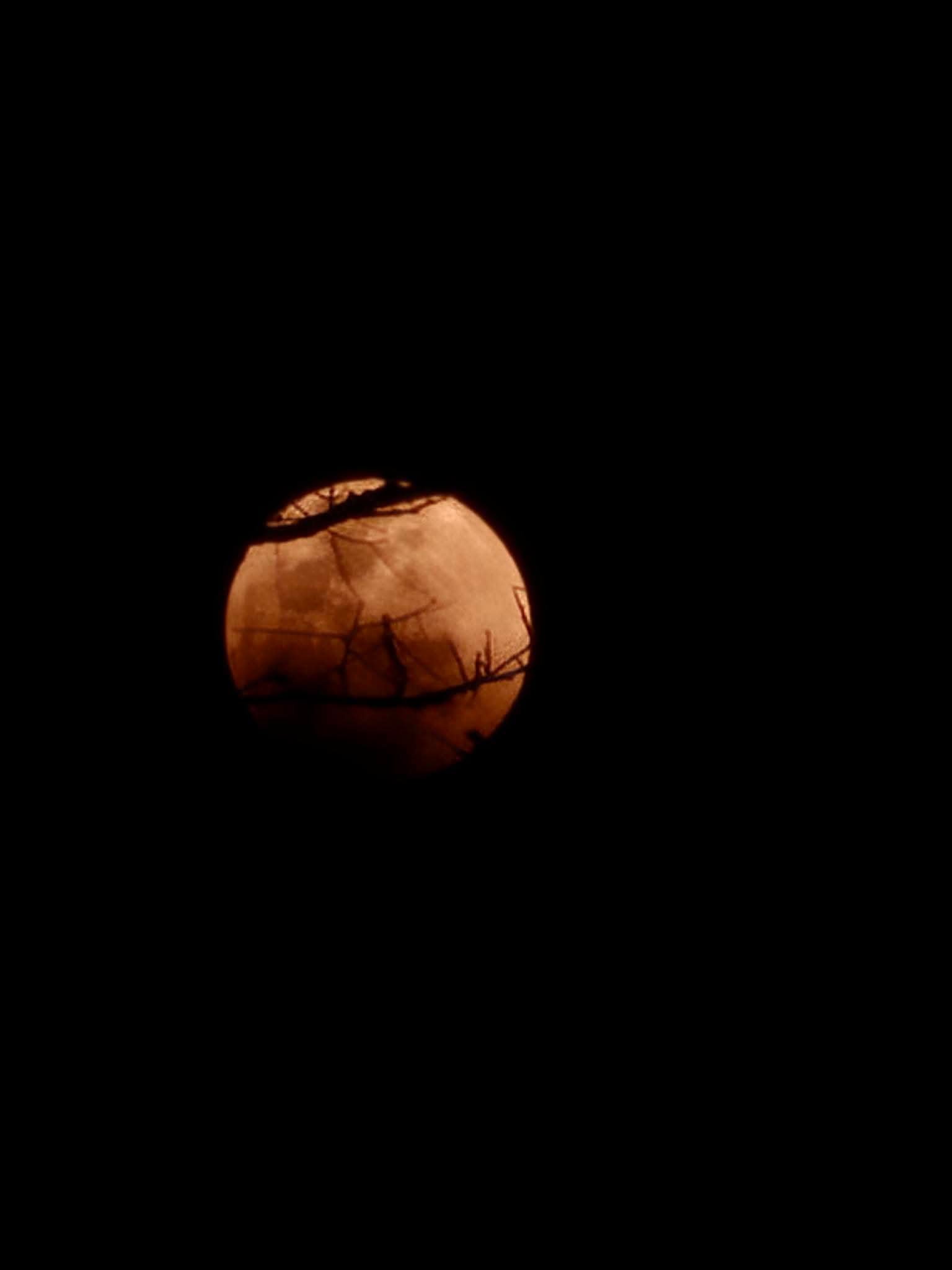 Blood moon kzn 3