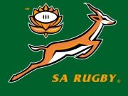 422Springbok_Logo_2.jpg