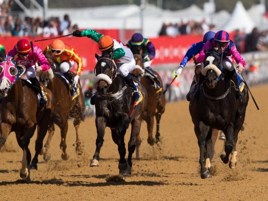 Horse racing