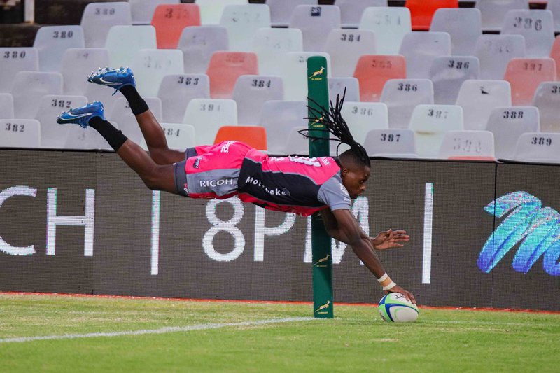 Pumas Rugby Team